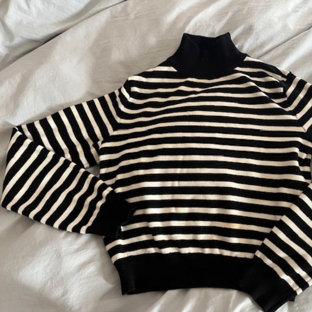 Zara Knit Mock Neck Sweater